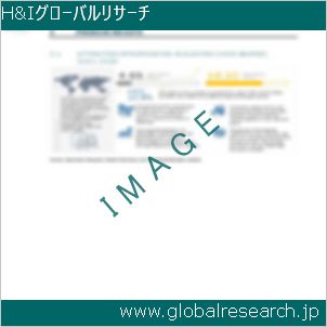 グローバルリサーチ調査レポートのイメージ